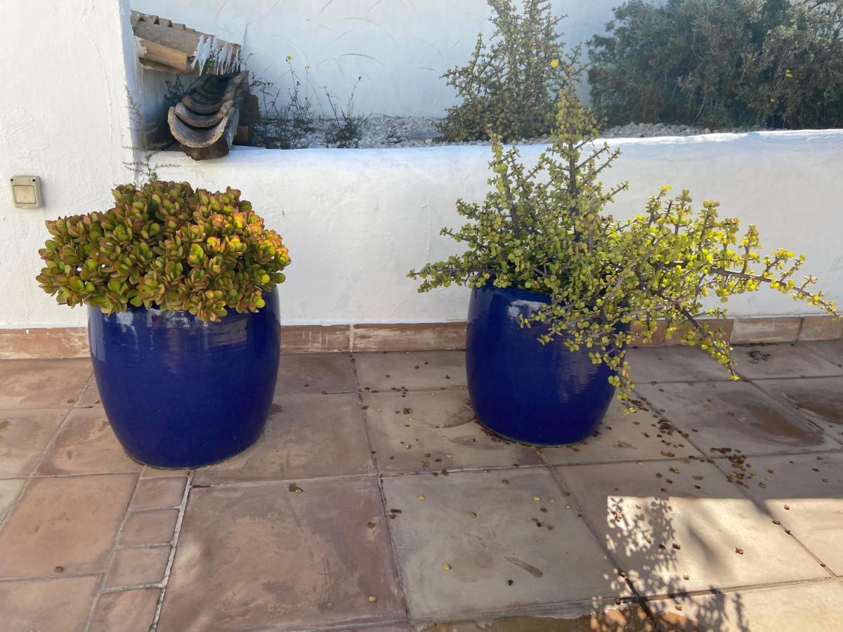 Javea Villa Entiere Piscine Et Cuisine D'Ete A Pinosol Екстериор снимка
